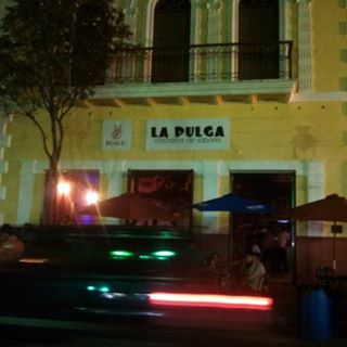 La Pulga