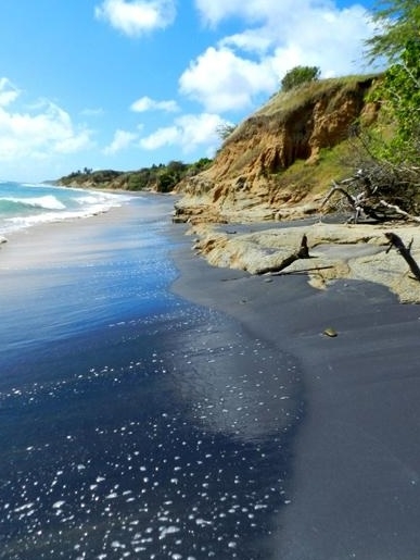 Playa Negrita Black Sand Beach Vieques Puerto Rico Descubra Puerto