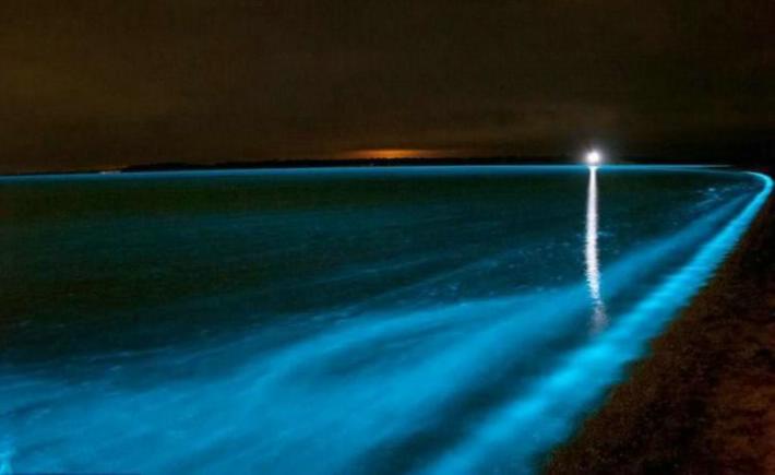 tour bahia bioluminiscente lajas