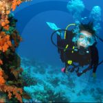 The Black Anchor Scuba Diving & Snorkeling