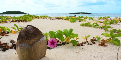 Playa_Playuela__Vieques_-_EDITADA_IMG_8682