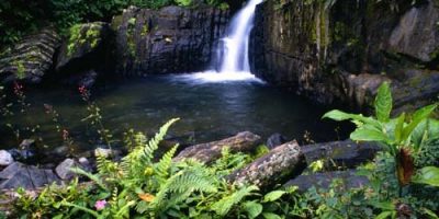 Rio_en_el_Yunque-2